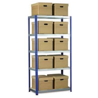 Ecorax Shelving with 10 Archive Boxes