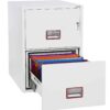 Phoenix FS2250 World Class Vertical Fire Files