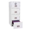 Phoenix FS2250 World Class Vertical Fire Files