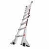 Little Giant Velocity 4 Tread Ladder