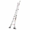 Little Giant Velocity 4 Tread Ladder